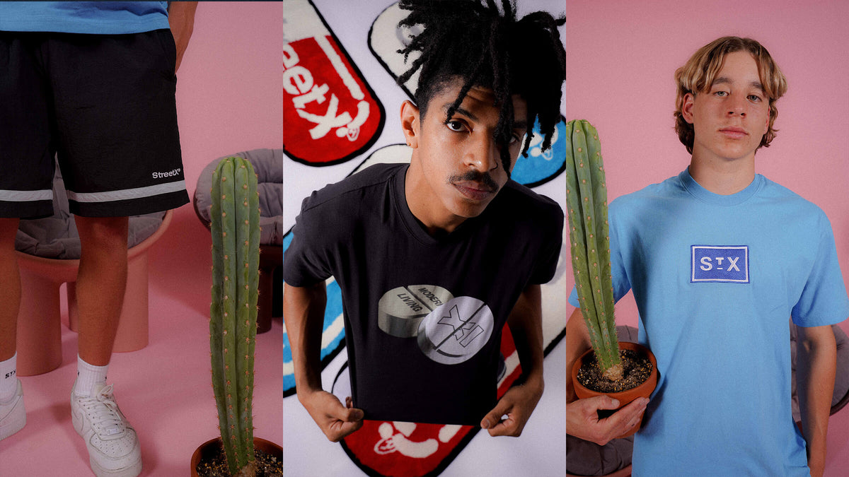 The Basics Collection 3